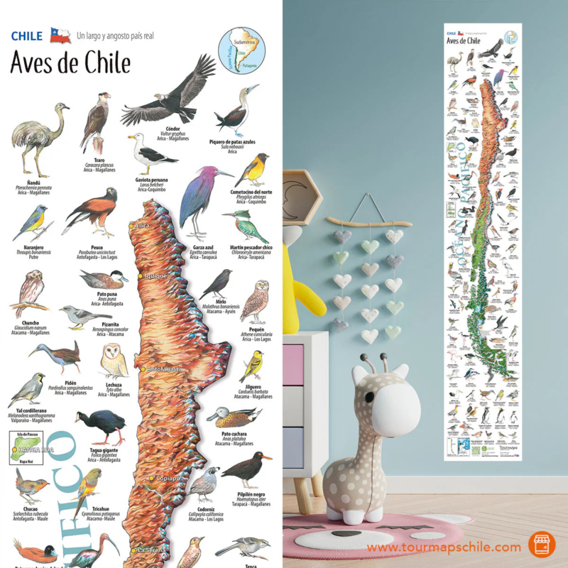 MAPA ILUSTRADO AVES DE CHILE-TRAVEL BOOKS