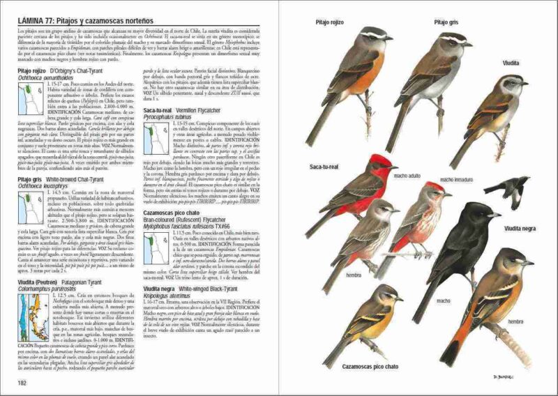 Libro Aves de Chile - Álvaro Jaramillo - Imagen 7