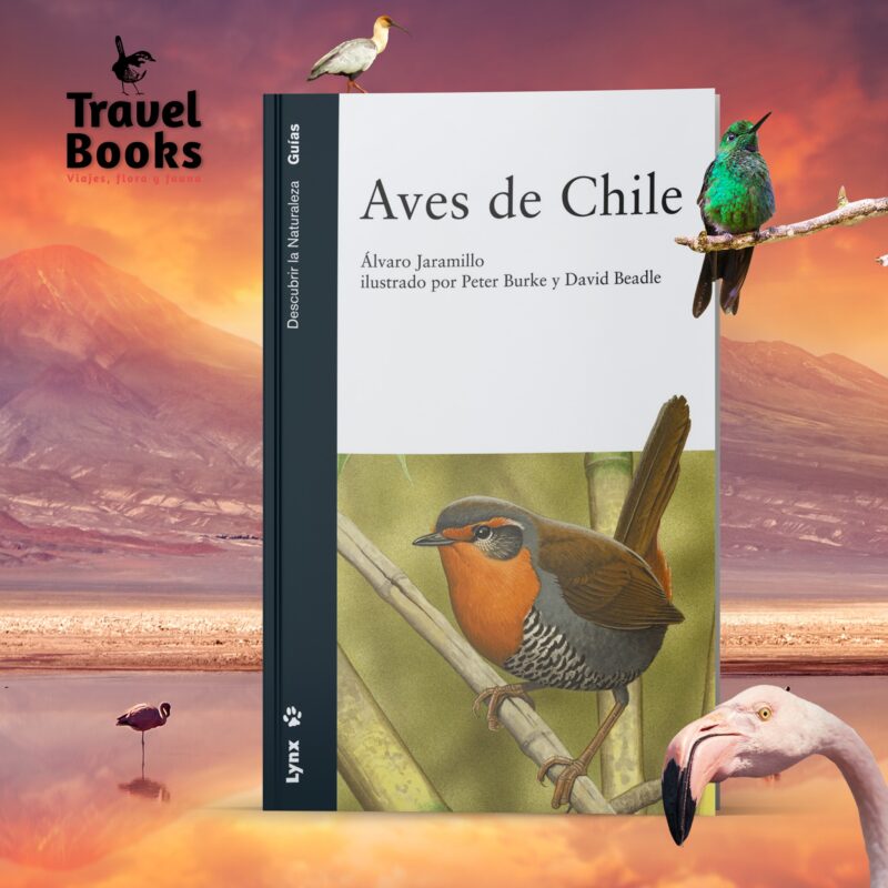 Libro Aves de Chile - Álvaro Jaramillo