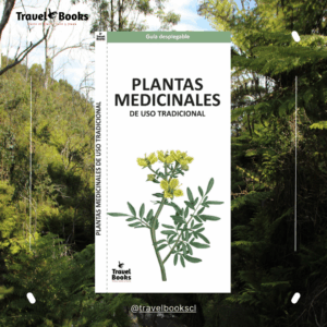 PLANTAS MEDICINALES DE USO TRADICIONAL - GUÍA DESPLEGABLE