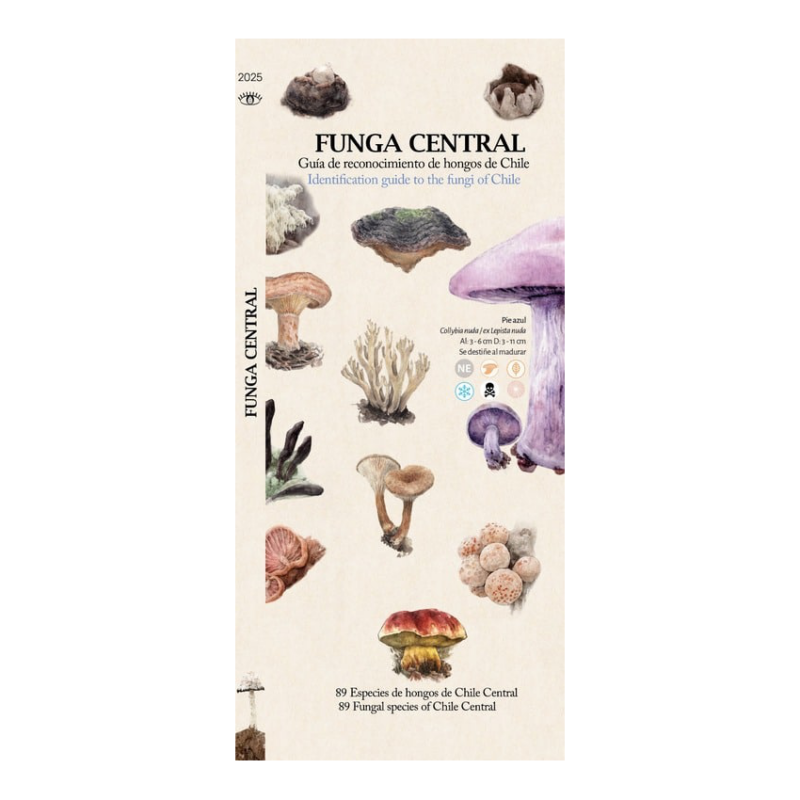 FUNGA CENTRAL - Guia desplegable