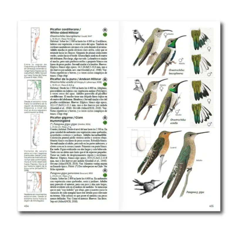 Aves de Chile - Daniel Martinez - Imagen 3