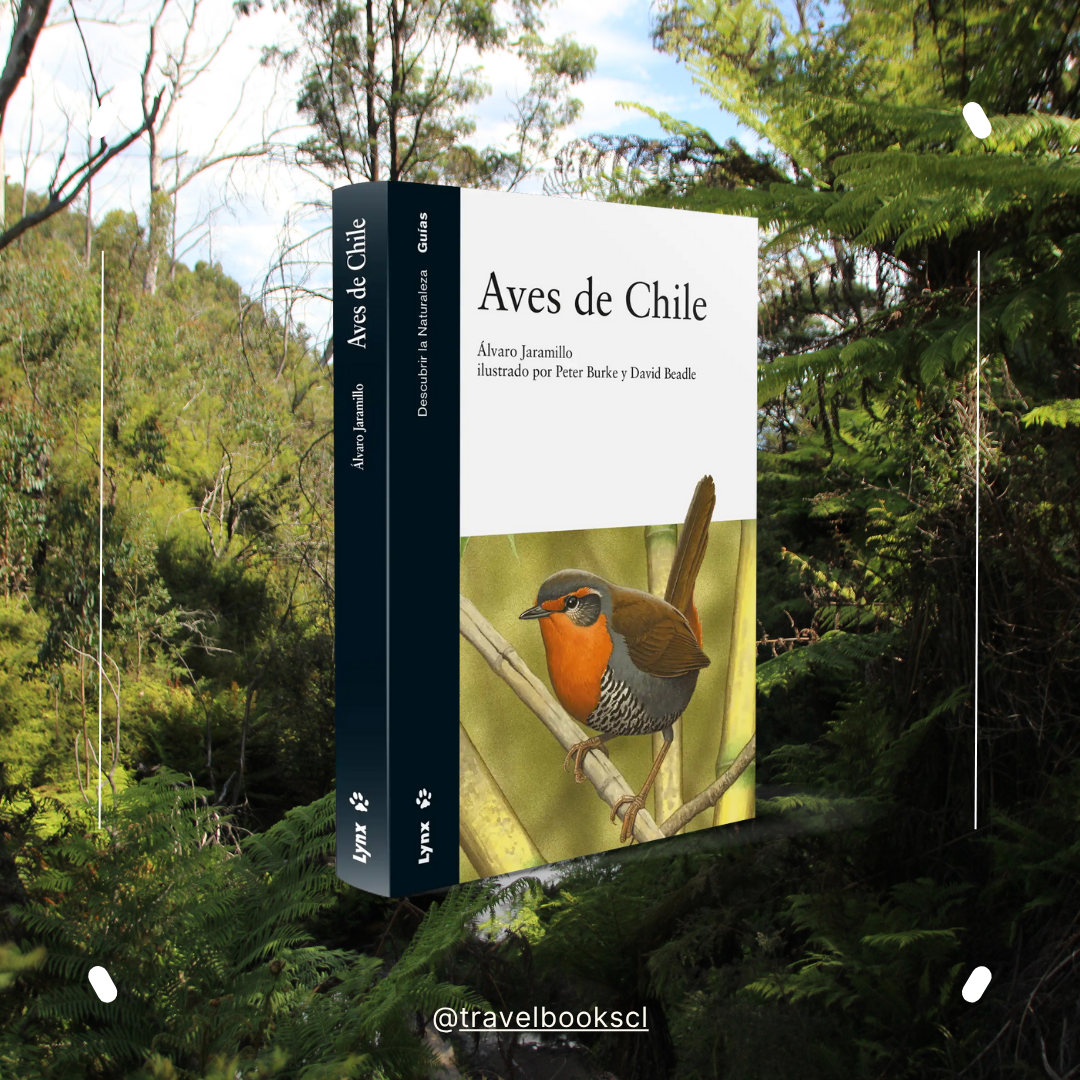 Pack Naturalista - Aves de Chile - Imagen 3