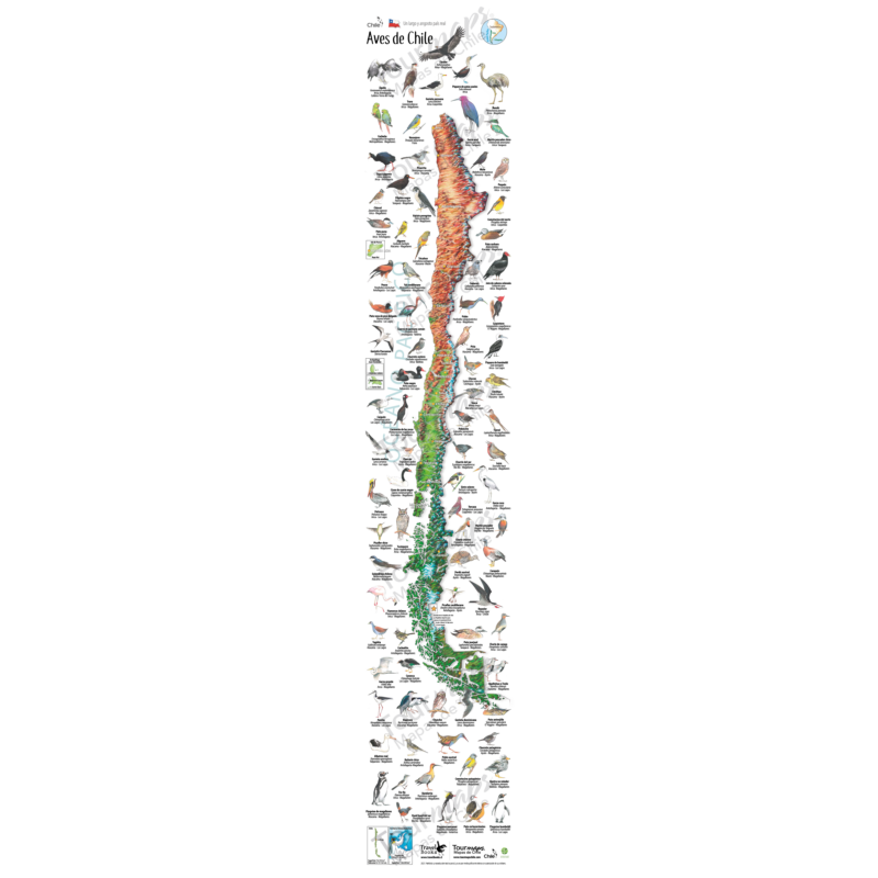 MAPA ILUSTRADO AVES DE CHILE-TRAVEL BOOKS