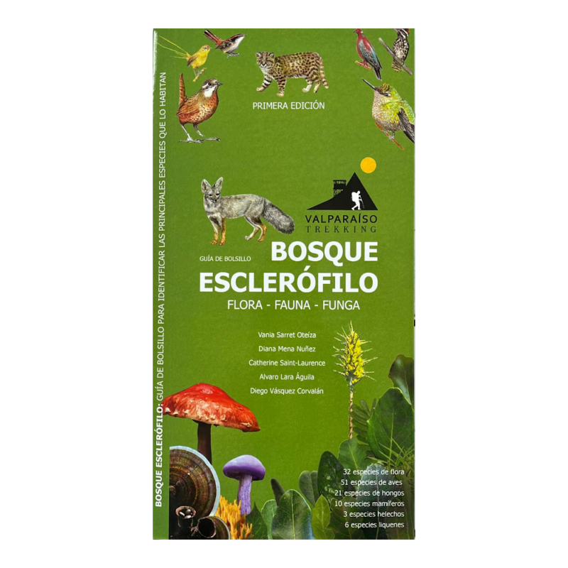 Guía plegable: Bosque Esclerófilo (flora, fauna y funga)