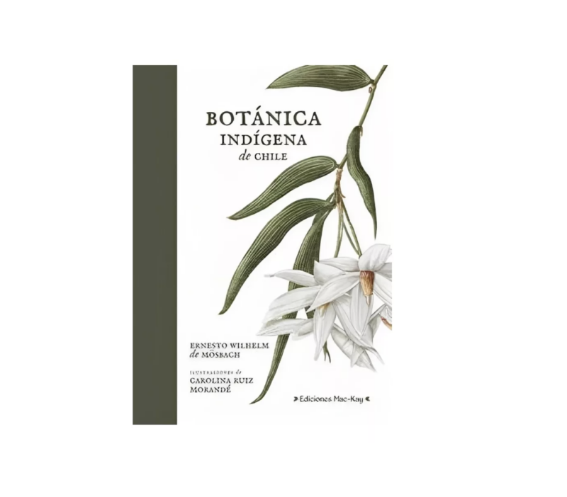 BOTANICA INDIGENA DE CHILE