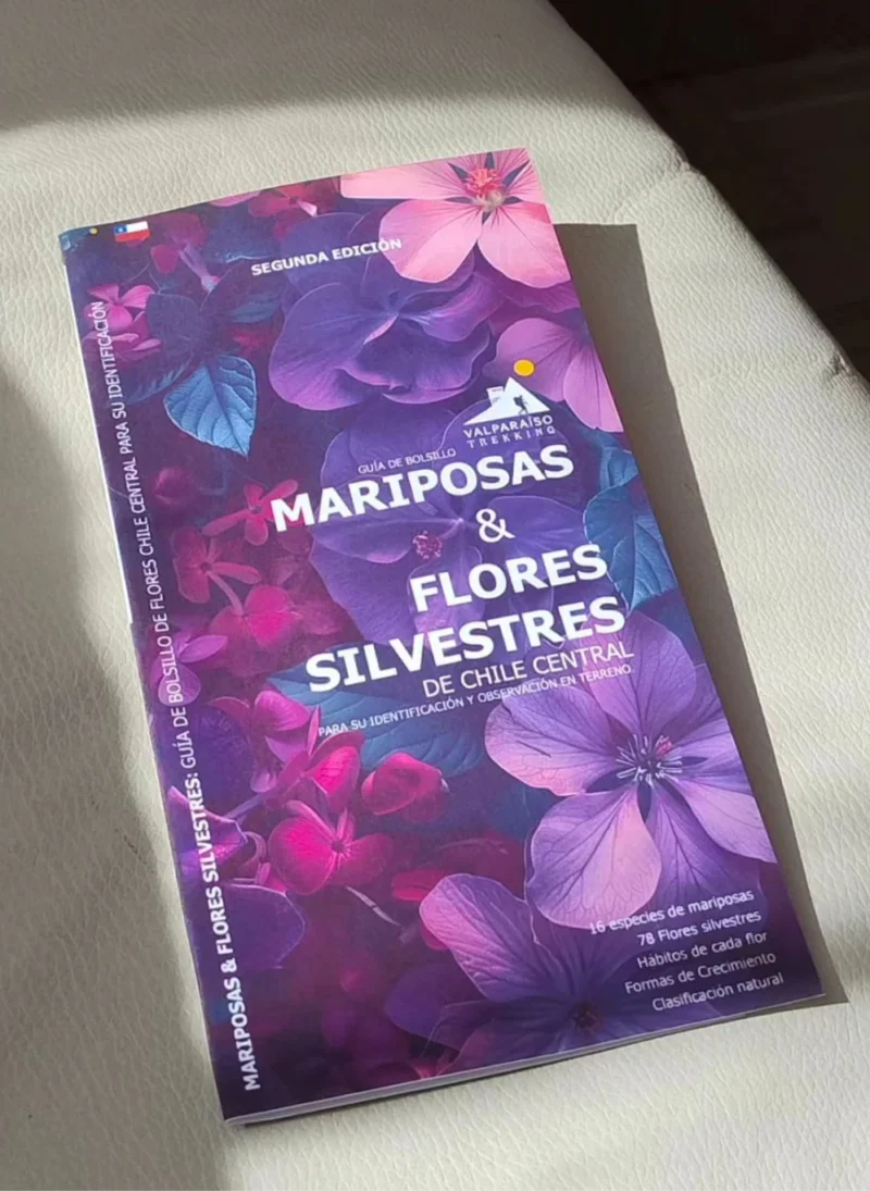 MARIPOSAS Y FLORES SILVESTRES - Guia desplegable