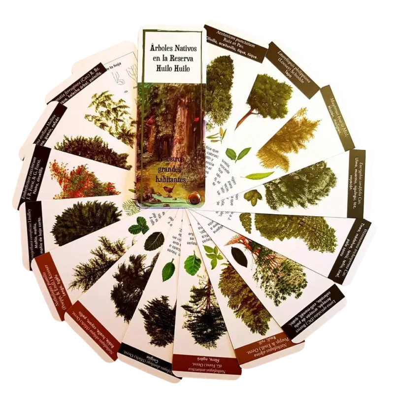 ARBOLES NATIVOS  HUILO HUILO  PANTONERA