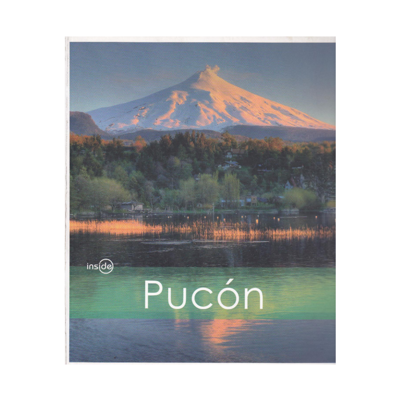 INSIDE PUCON