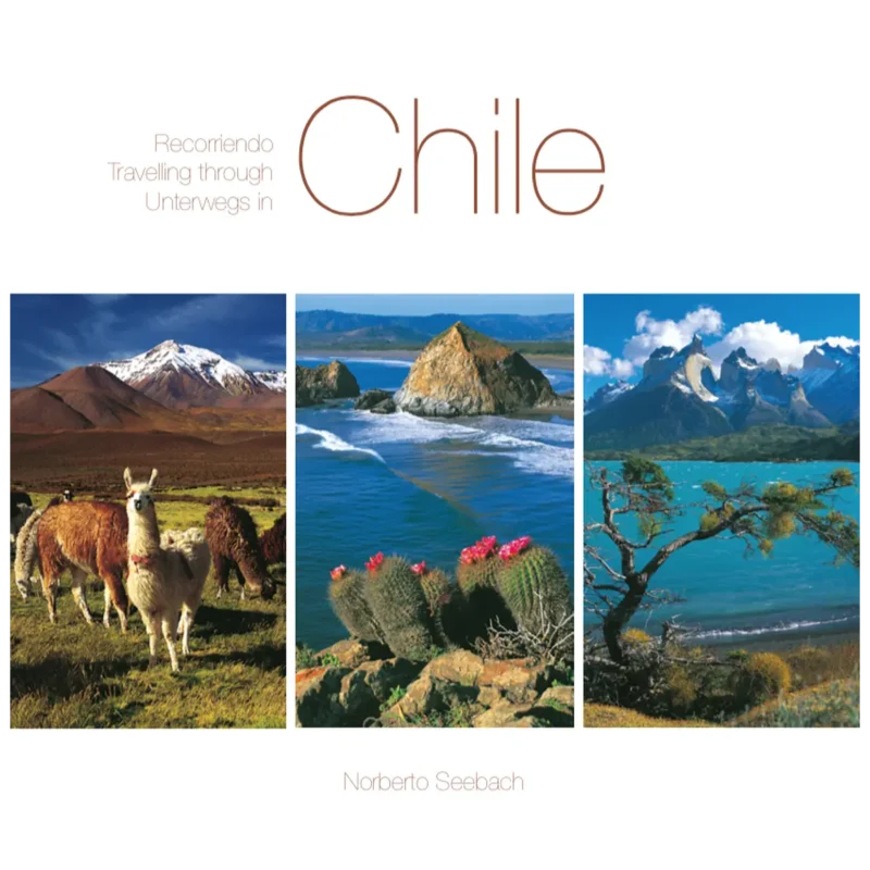 RECORRIENDO CHILE  / TRAVELLING