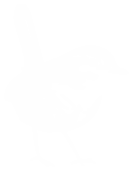 Travelbooks – Libreria de Viajes, Flora, Fauna y Funga de Chile y el mundo