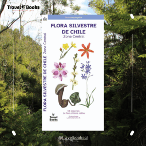 Guía Desplegable "Flora Silvestre de Chile – Zona Central" - Travel Books