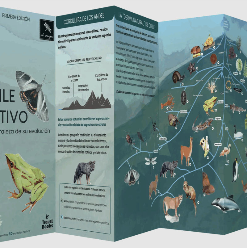 Chile Nativo: La naturaleza de su evolución - Imagen 2
