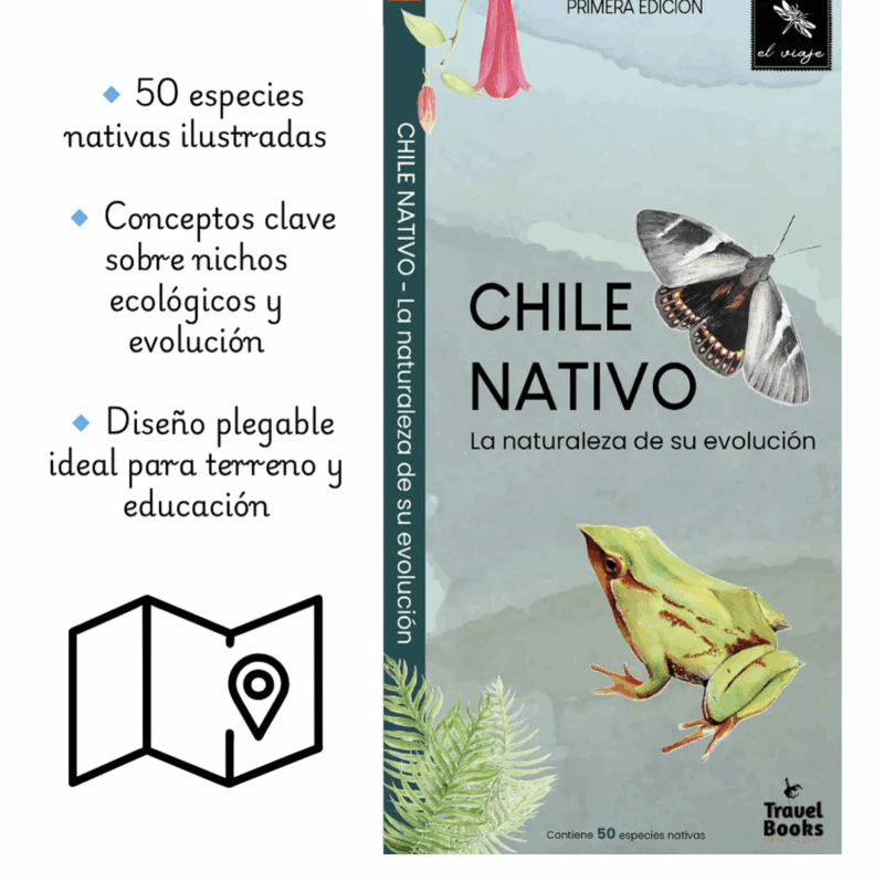 Chile Nativo: La naturaleza de su evolución - Imagen 3