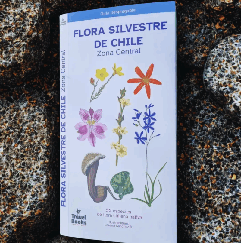Guía Desplegable "Flora Silvestre de Chile – Zona Central" - Travel Books