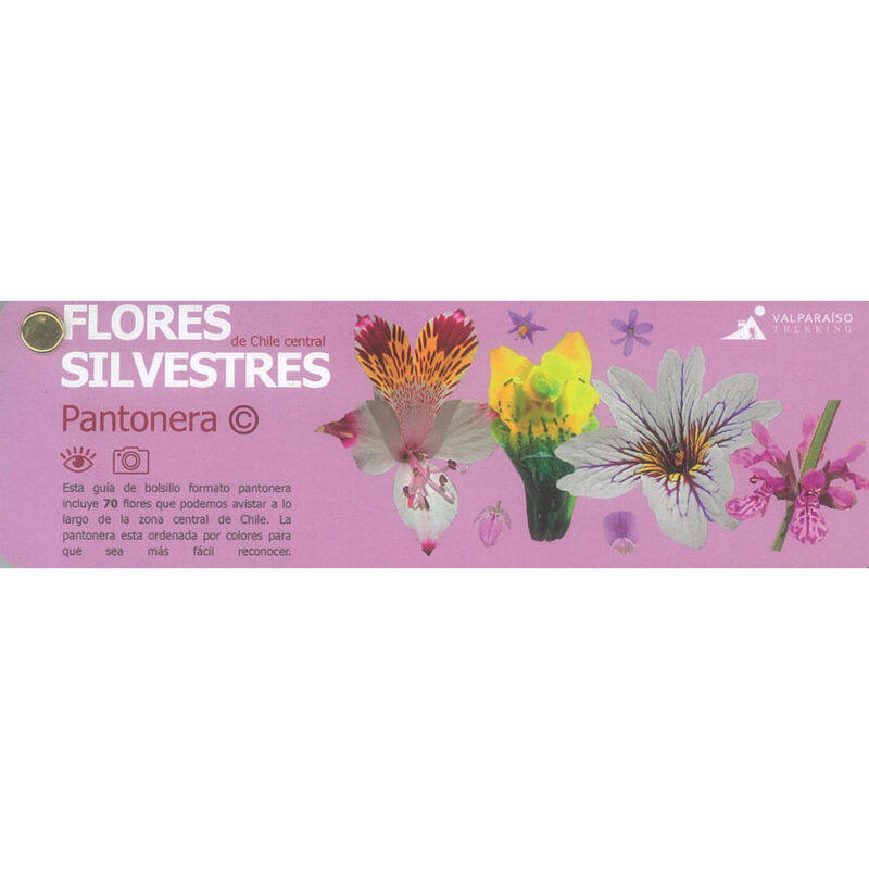 Flores Silvestres de Chile Central Pantonera
