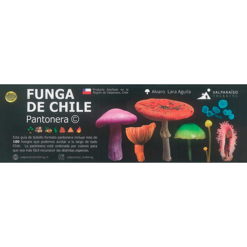 Funga de Chile. Pantonera