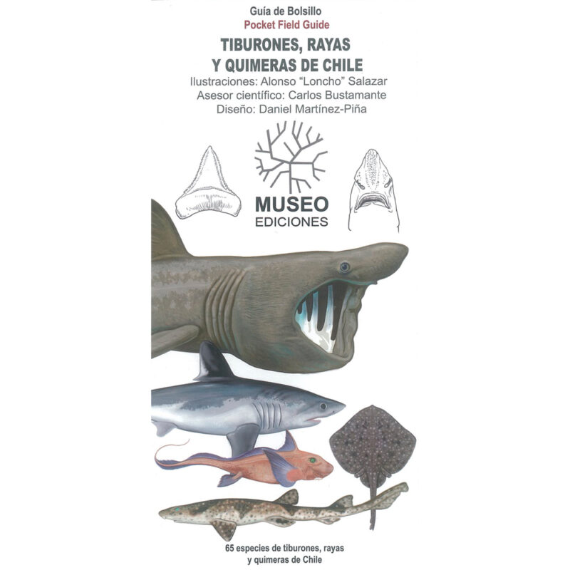 Tiburones, Rayas y Quimeras de Chile. Guía de Bolsillo