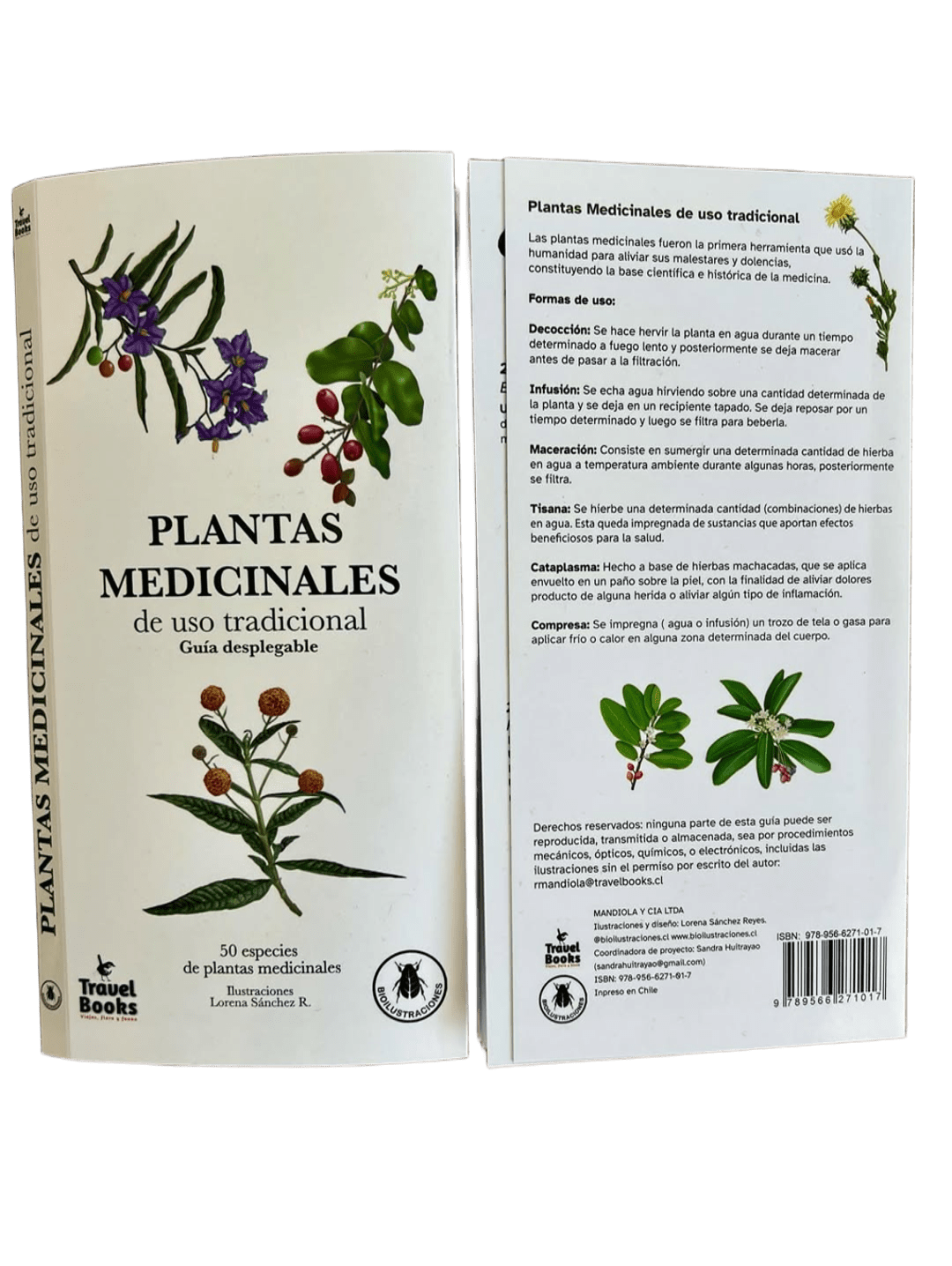 PLANTAS MEDICINALES DE USO TRADICIONAL - GUÍA DESPLEGABLE