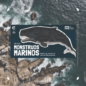 Monstruos Marinos