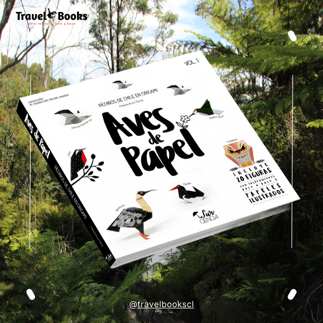 AVES DE PAPEL, Pájaros de Chile en Origami
