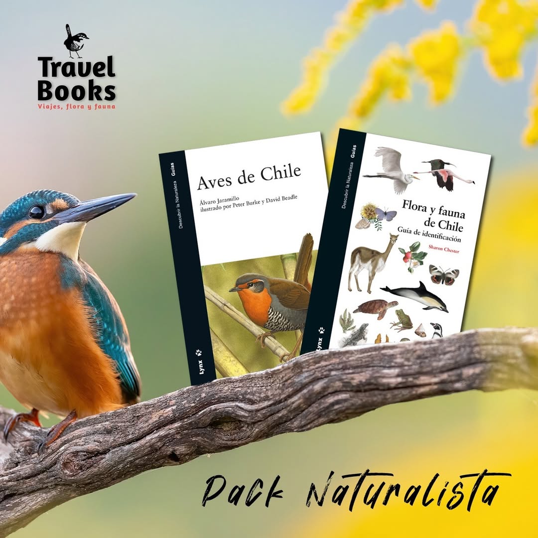 Pack Naturalista - Aves de Chile