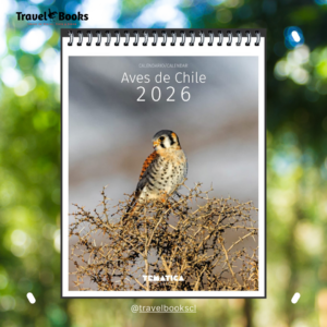 Calendario Mural Aves de Chile 2026