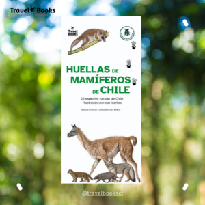 GUÍA DESPLEGABLE HUELLAS DE MAMÍFEROS DE CHILE