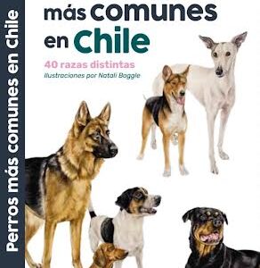 PERROS MAS COMUNES EN CHILE