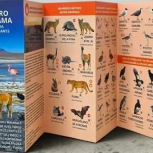 SAN PEDRO DE ATACAMA . FAUNA Y FLORA