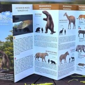 CUEVAS DEL MILODON. MEGAFAUNA , FAUNA Y HUMANOS