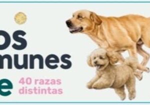 PANTONERA PERROS MAS COMUNES EN CHILE