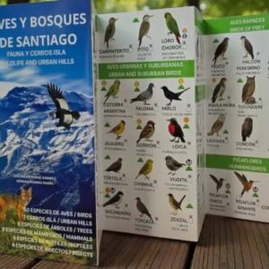 AVES Y BOSQUES DE SANTIAGO. FAUNA Y CERROS ISLA
