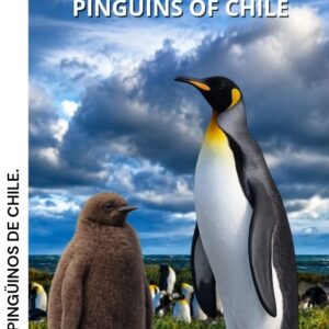 Desplegable Pingúinos