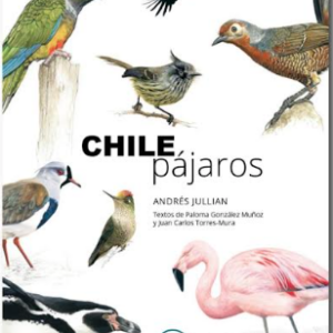Chile pájaros