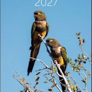 Calendario 2027 mural aves de chile