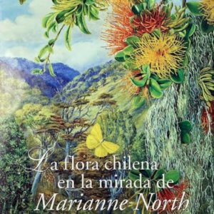 La Flora Chilena en la mirada de Marianne North
