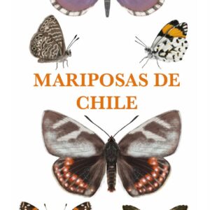 MARIPOSAS DE CHILE, GUIA DESPLEGABLE